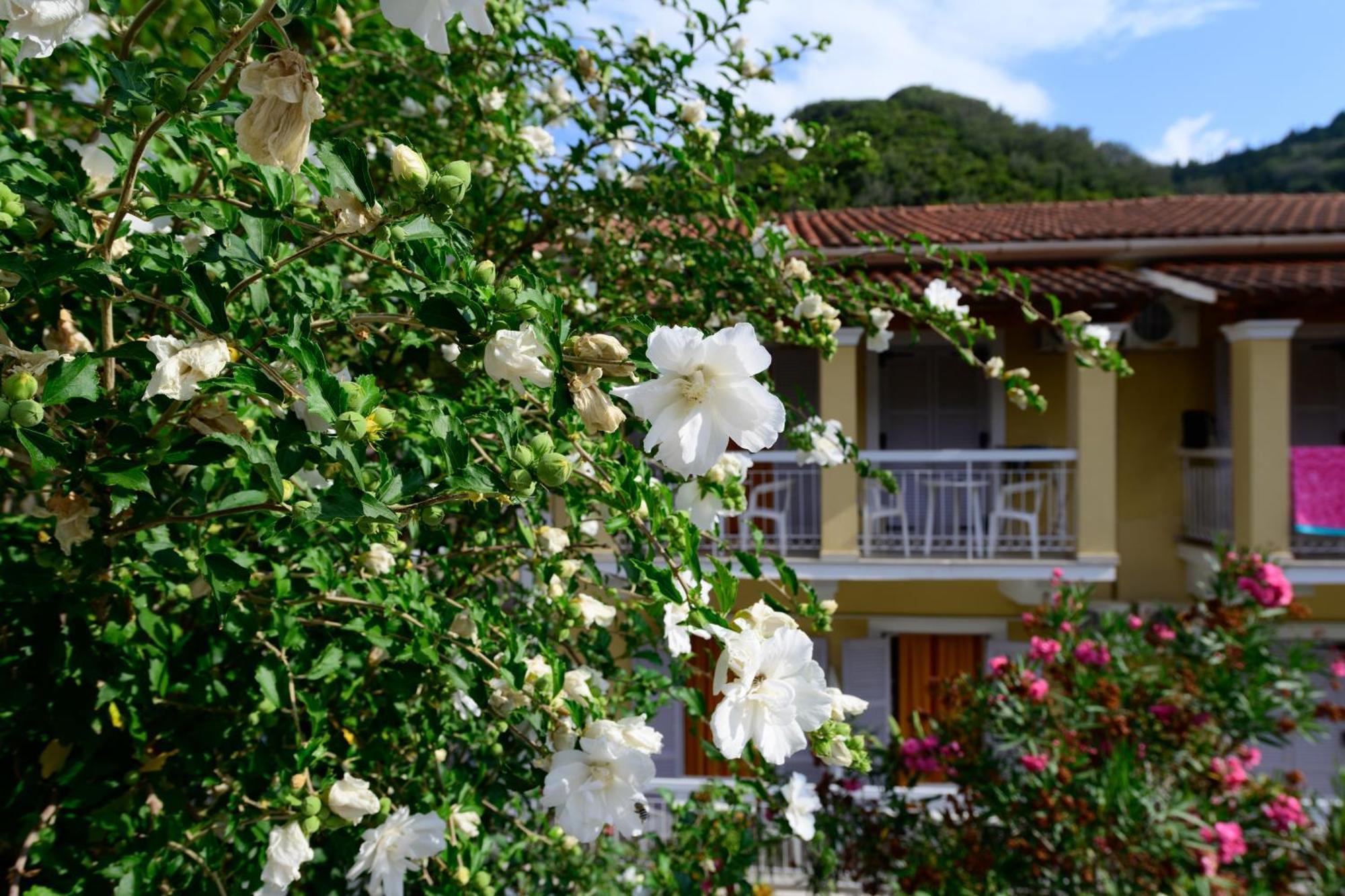 Marina Apartments, Agios Gordios  Exterior foto